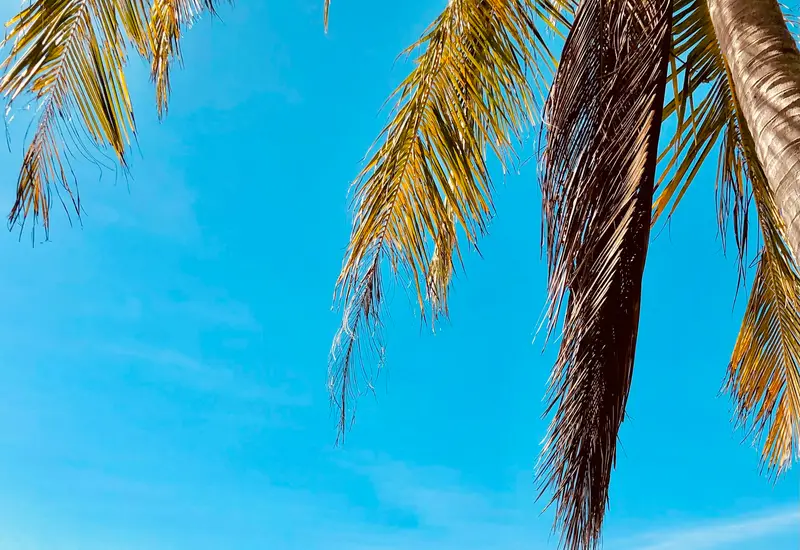 A wooden pier over turquoise water framed by palms, Phu Quoc