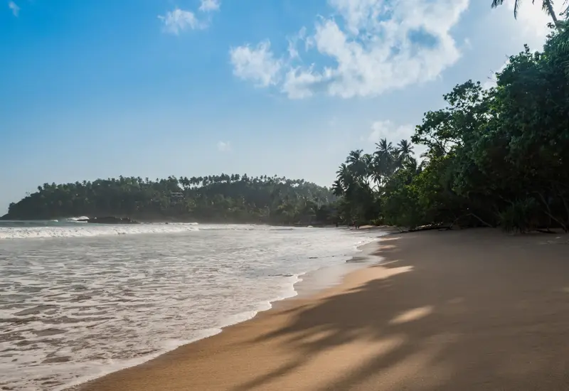Mirissa beach, Sri Lanka (photo: dronepicr / Wikimedia Commons, CC BY 2.0)