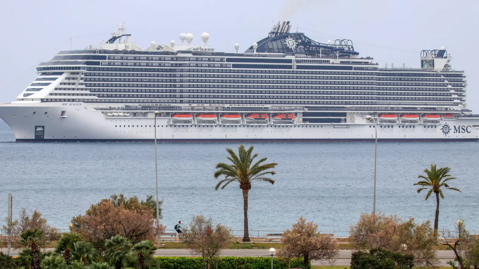 MSC Seaview cruise ship in the Mediterranean off a palm-lined shore