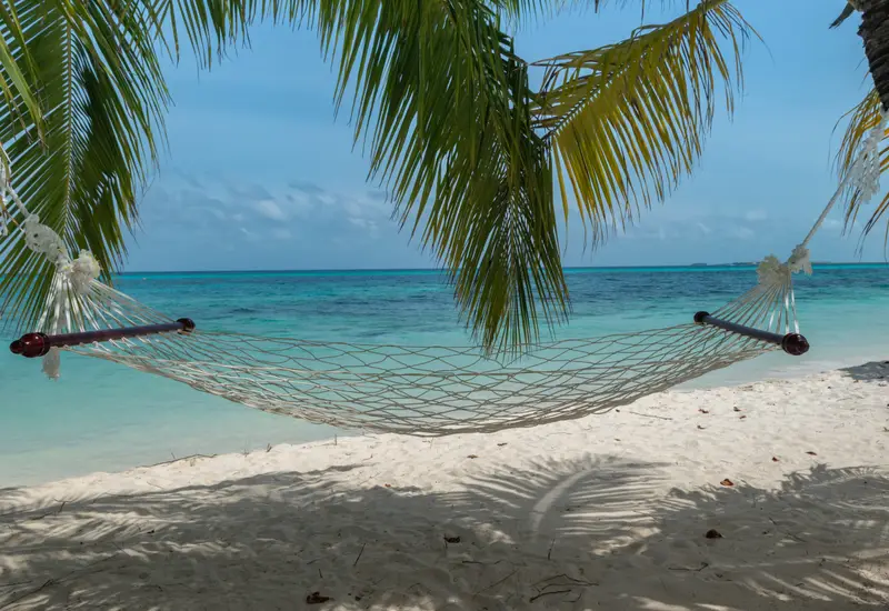 Hammock between palm trees over a turquoise lagoon, Maldives (photo: dronepicr / Wikimedia Commons, CC BY 2.0)