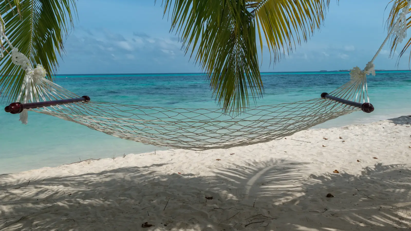 Hammock between palm trees over a turquoise lagoon, Maldives (photo: dronepicr / Wikimedia Commons, CC BY 2.0)